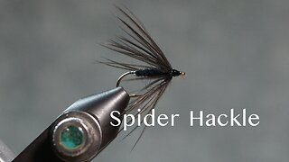 Spider Hackle (W. C. Prime pattern)