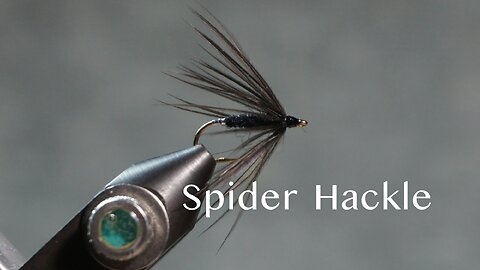 Spider Hackle (W. C. Prime pattern)