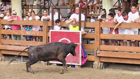 MONTEAGUDO ( NAVARRA ) TARDE VACAS EN PLAZA ( VIERNES 18 AGOSTO 2023 ) GANAD.EL PINCHA