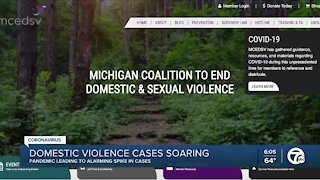 Pandemic leading to alarming spike in domestic violence cases