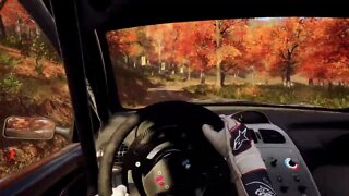 DiRT Rally 2 - 206 Problems at H. Creek Burst