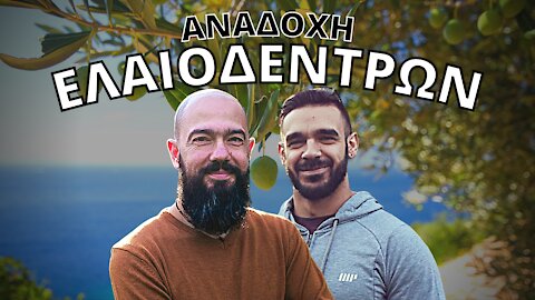 Πώς να παράγεις το ΔΙΚΟ σου Ελαιόλαδο εξ' αποστάσεως [Υιοθεσία Ελαιοδέντρων]