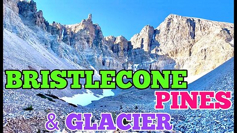 Bristlecone Pines and Glacier