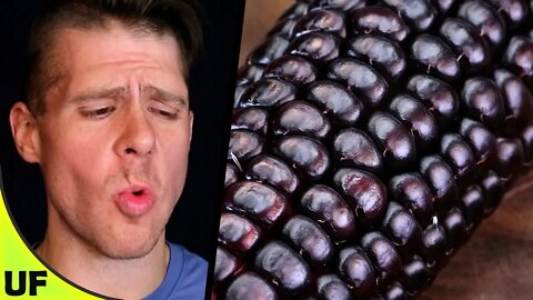 Dakota Black Corn Taste Test | Unusual Foods