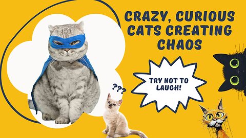 Hilarious Cats in Wacky Adventures: A Must-See!