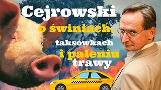 Cejrowski o świniach, taksówkach i paleniu trawy 2019/04/16 Radiowy Przegląd Prasy Odc. 994