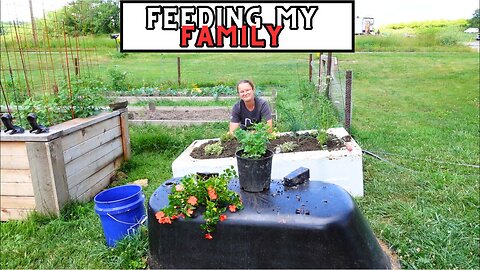 Starting a Homestead From Scratch: Expanding the Garden