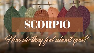 Scorpio♏Can't stop thinking about you but can't be with you now. There's something you need to know.