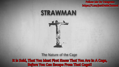 Strawman: Nature Of The Cage