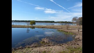 Reed Bingham State Park. Adel, Georgia. Slideshow.