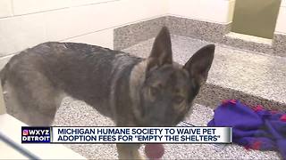 How to adopt a pet for free through the Michigan Humane Society