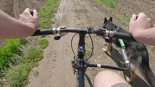 Just me on my bike and my dog, having a nice relaxing time