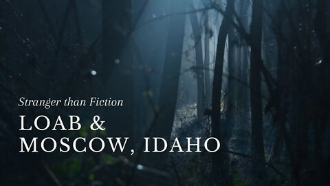 Stranger Than Fiction | Loab & Moscow, Idaho *sensitive topics*