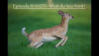 Episode 91 NADT -What do you want?
