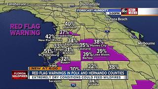 Red Flag Warning issued for Polk County; brush fire danger very high