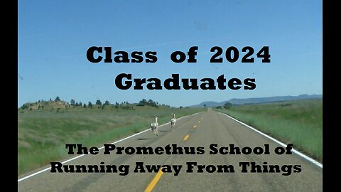 Pronghorn Antelope Graduates of The Prometheus School of Running Away From Things