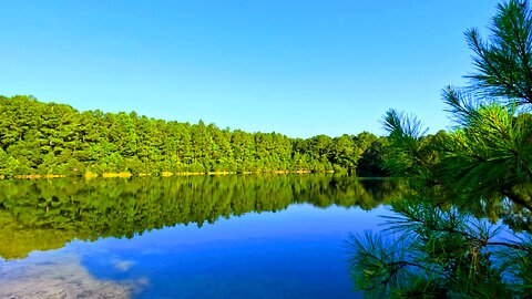 Exploring Smith Creek Park - Wilmington, North Carolina - POV Nature Hike