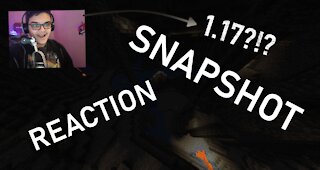 Minecraft 1.17 SNAPSHOT REACTION!