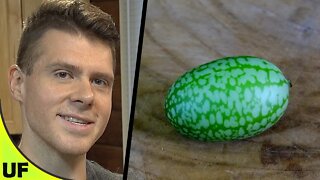 Cucamelon Taste Test | Unusual Foods