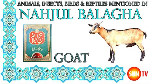 Goat - Animals, Insects, Reptiles & Amphibians mentioned in Nahjul Balagha (Peak of Eloquence)