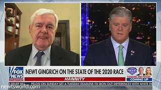 Newt Gingrich on Hannity | Oct 19, 2020