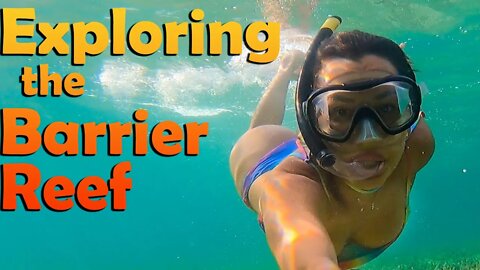 Exploring the 2nd Largest Barrier Reef - S7:E07