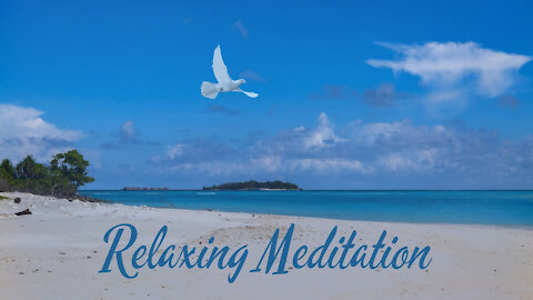 Short Meditation music - White dove on Maledives