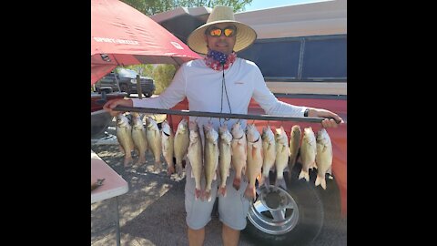 Hot June Walleye and White Bass Fishing at Caballo Lake NM -Spoonplugging