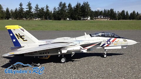 RC Jet Flight Demo - Freewing F-14 Tomcat Twin 80mm EDF Jet Sunny Day Flight