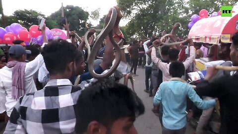 Worshippers parade with snakes honoring Indian Snake God Shesha Nag