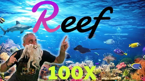 REEF RELIABLE EXTENSIBLE Efficient Fast: A TRUE 100X GEM