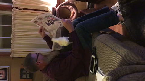 "Pet Bird Shakes Newspaper to Get Owner's Attention"
