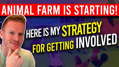 Animal Farm starts TODAY! Potentially the biggest thing in Defi since DRIP. Here's my strategy.