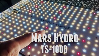 Mars Hydro TS1000 - Excellent Value For The $ | Unboxing, Review & Coupon Code Best Grow Lights 2020