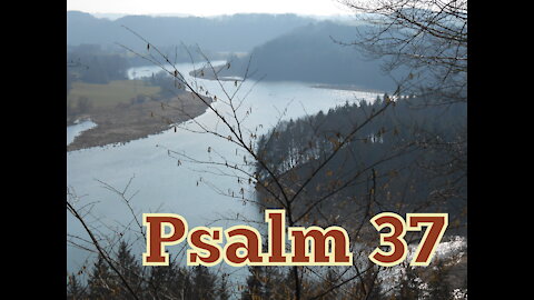 Psalm 37 (Luther)