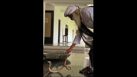 How to handle the cobra#Snake