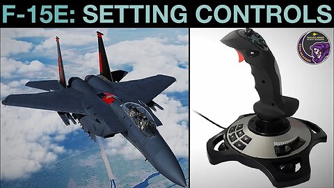 F-15E Strike Eagle: Setting Joystick HOTAS Controls (front seat) | DCS