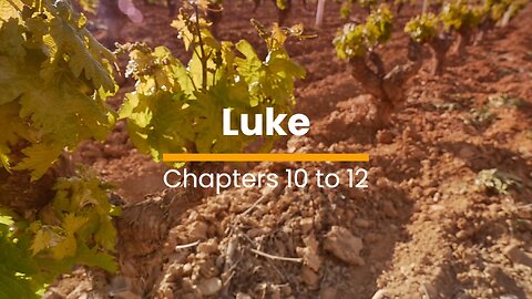 Luke 10, 11, & 12 - October 17 (Day 290)