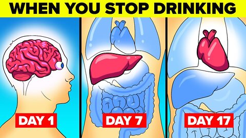 What Happens To Your Body When You Stop Drinking Alcohol