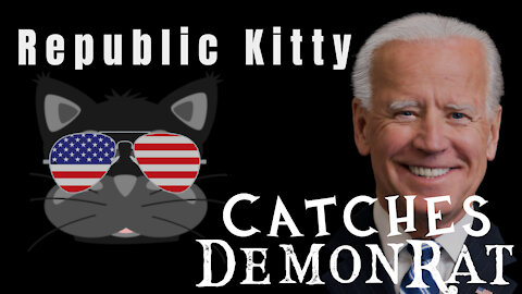 Republic Kitty Catches Delusional Demonrat Biden