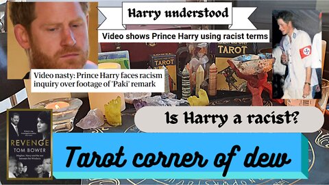 Harry understood: Is harry a racist?