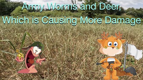 Army Worms and Deer, Which is Causing More Damage