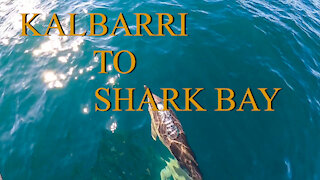 Kalbarri to shark bay - Ep 13