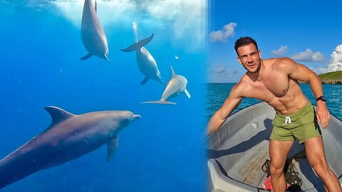 Zanzibar’s Hidden Dolphin Hotspot…