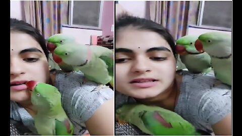 funny girl barbra Ignore prank on parrot 🤭❣ #Rumble #talkingparrots #animallovers #rjanukriti