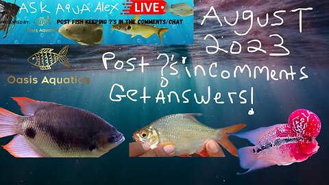 Ask Aqua Alex LIVE: August 2023