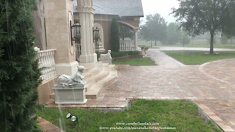 Great Dane Watches Florida Thunderstorm Create A Waterfall