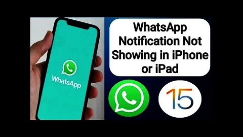 Fix' WhatsApp Notification Issue On iPhone || WhatsApp notifications not working on iPhone