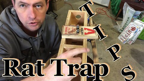Rat Trap Setting Trick for Weasel & Squirrel Boxes