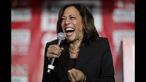 Kamala Harris continually says things which are 'totally ridiculous'
